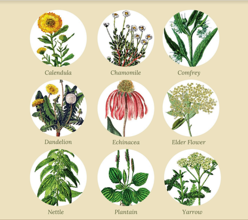 Take Our Scavenger Challenge