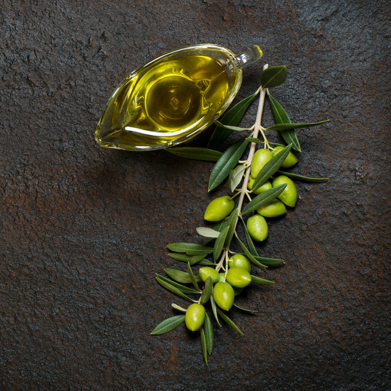Discover the Many Benefits of Olive