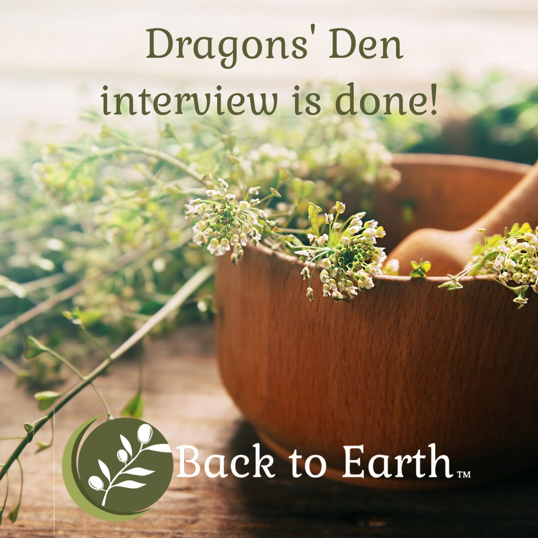 Dragons Den - Watch out Here We Come!