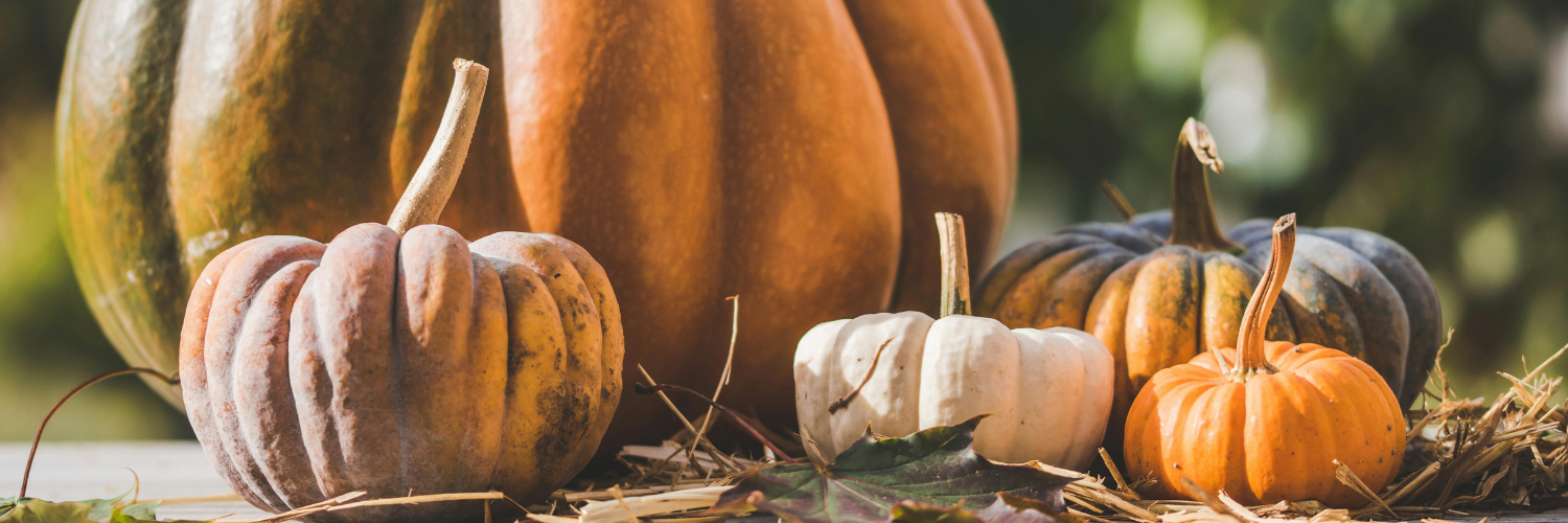 The Power of Pumpkin: Fall’s Favorite Ingredient for the Skin &amp; Soul