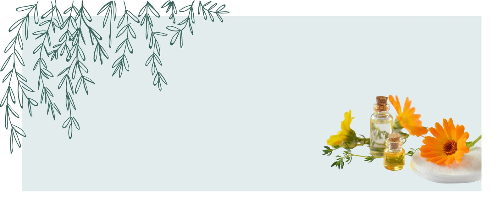 Synergy Essential Oil Blends