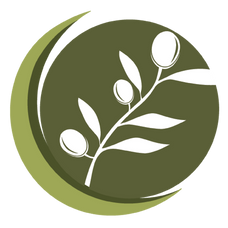 Back to Earth logo