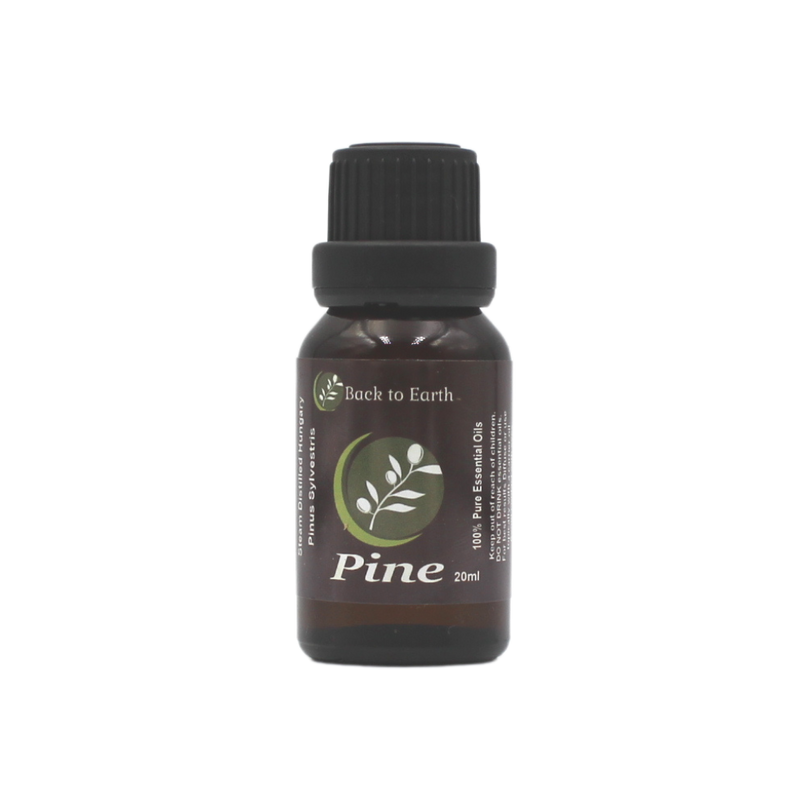 Pine 100% Pure Essential Oil - 18ml